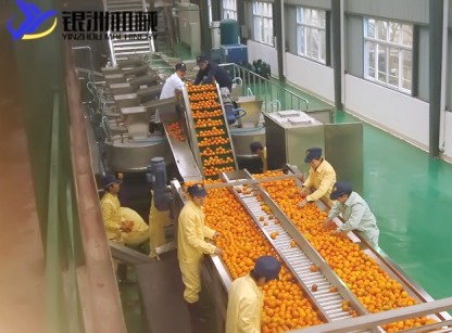 益生菌發酵技術解決果蔬加工難題